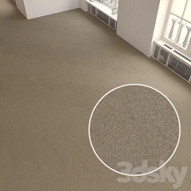 Carpet covering 196 3D Model