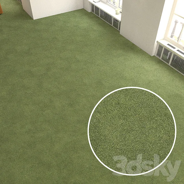 Carpet covering 225 3D Model