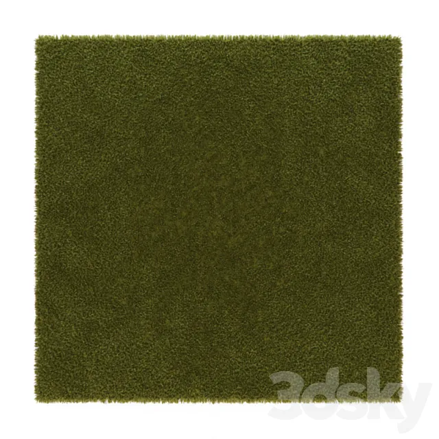 Carpet green hair 3DModel