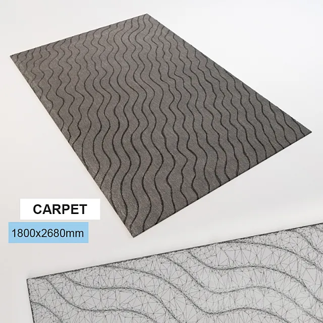carpet in 3D Model