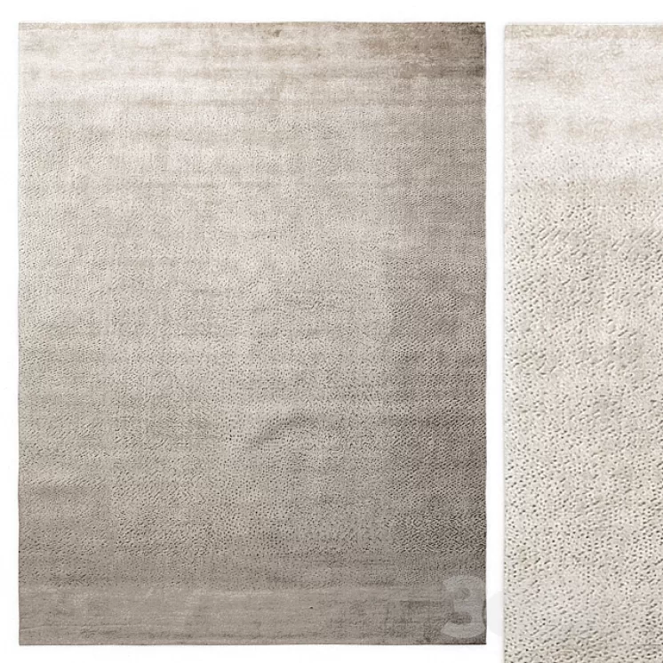 Carpet Molteni & C Random Artic Rug 3D Model