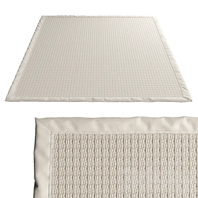 Carpet NF463A by Safavieh in sisal 3DModel