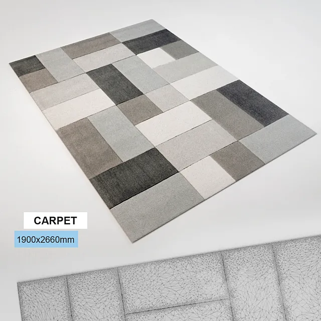 Carpet p 3D Model