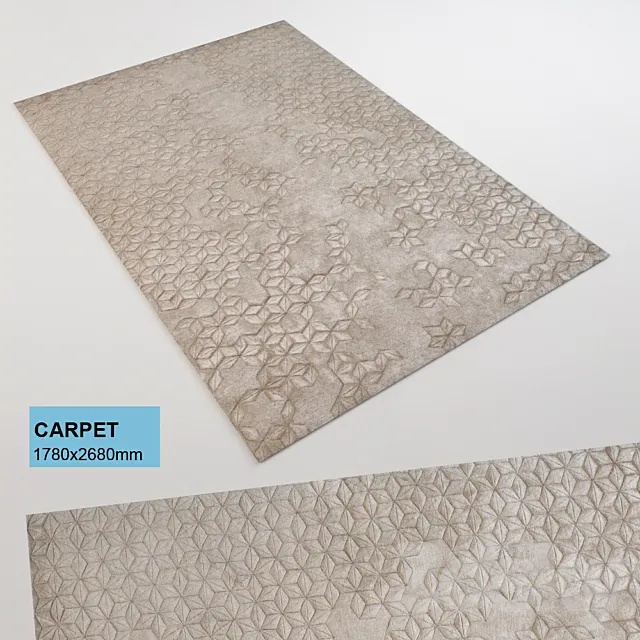Carpet p 3D Model