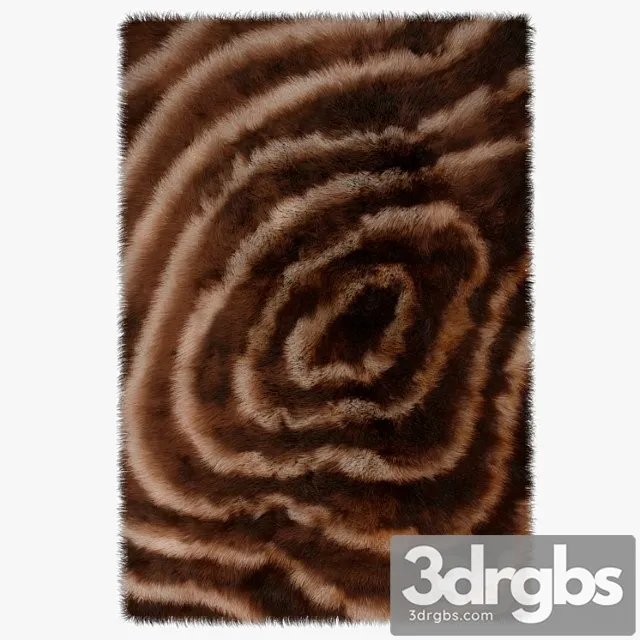 Carpet Rainbow Free Download