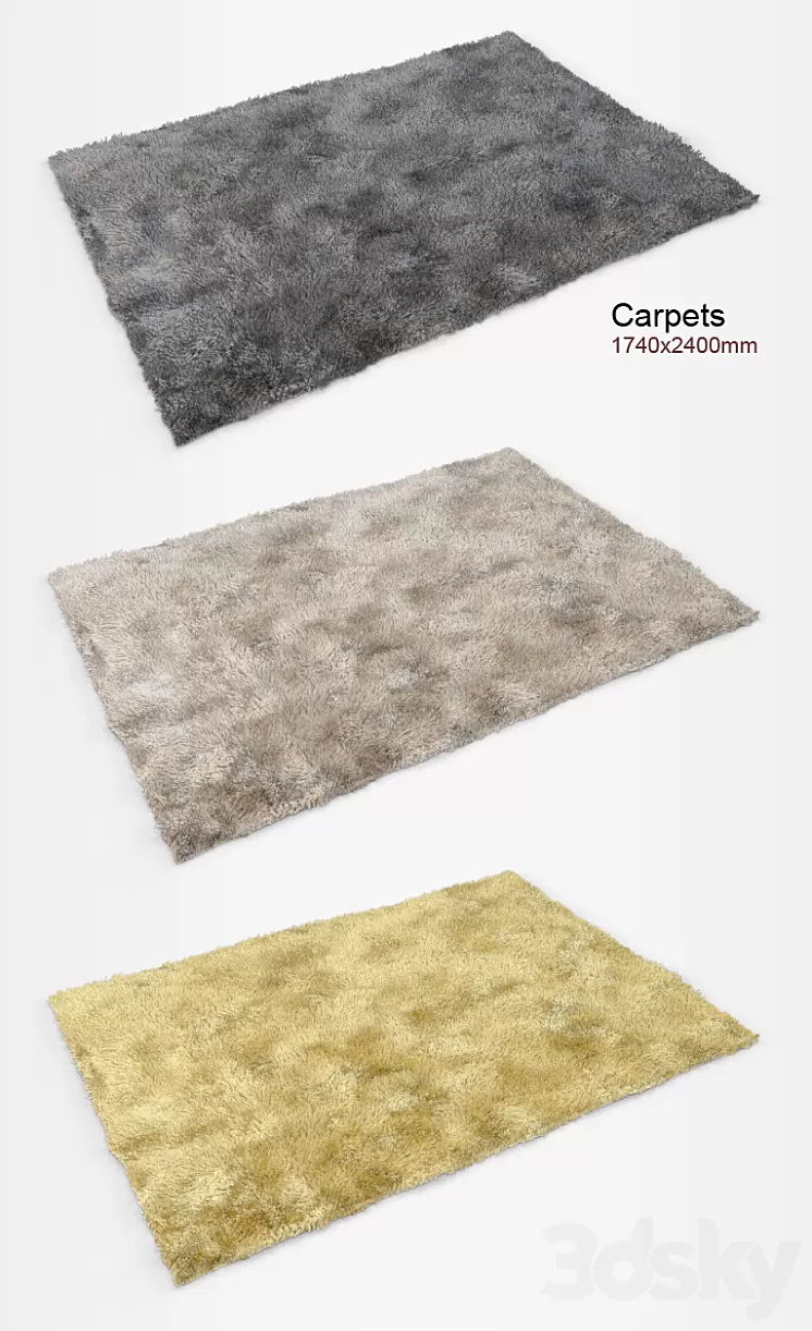 Carpet with long pile 2 3D Model