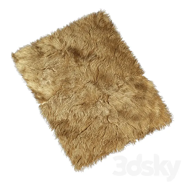 Carpet with long pile 3D Model