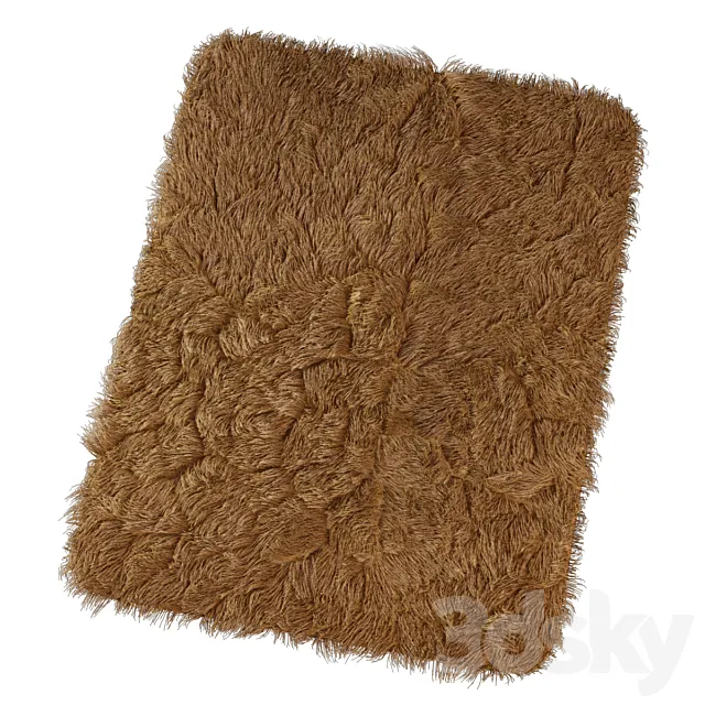 Carpet with long pile 3D Model