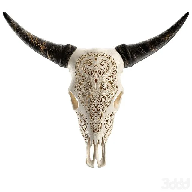 Carved cow skull (Skull of a cow with a carved pattern) 3D Model