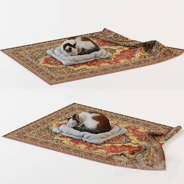 Cat 3DModel