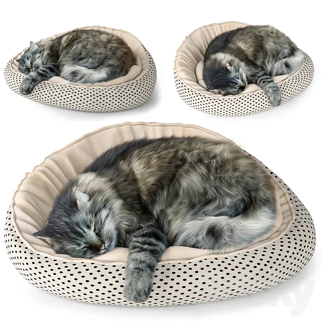 Cat 3DModel