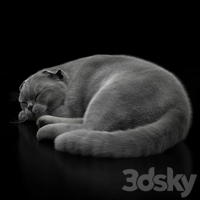 CAT 6 VRay 3DModel