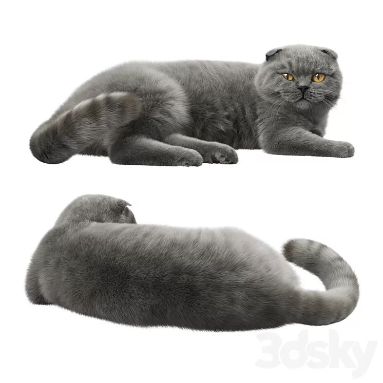 CAT 7 Corona 3D Model Free Download