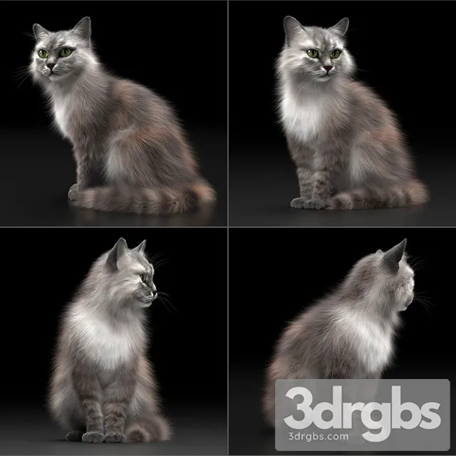 Cat Fur 3D Model Free