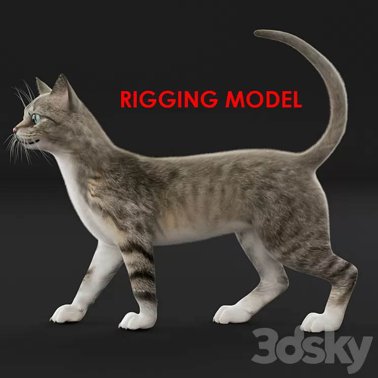 Cat (Riga)