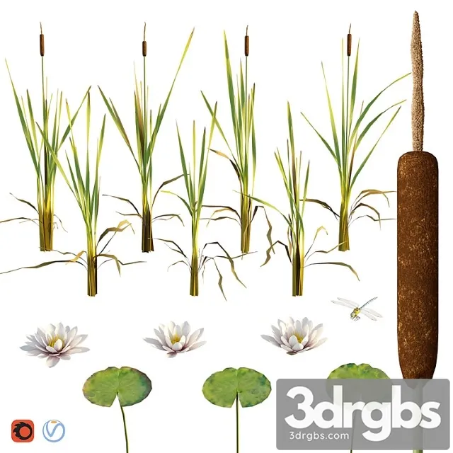 Cattail Water Lily Dragonfly 3D Model Free