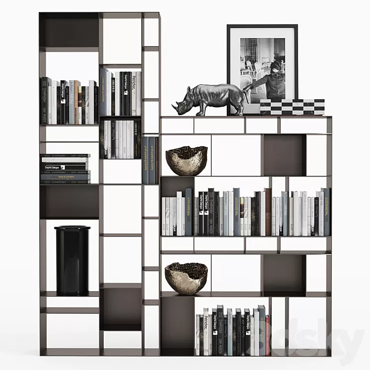 Cattelan Italia Latitude Bookcase 3D Model