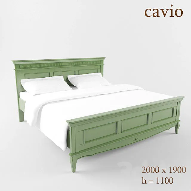 CAVIO 3DModel