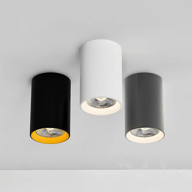 Ceiling Lamps CENTRSVET_13 3DModel