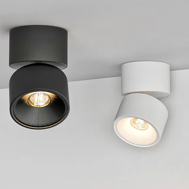 Ceiling Lamps CENTRSVET_8 3DModel