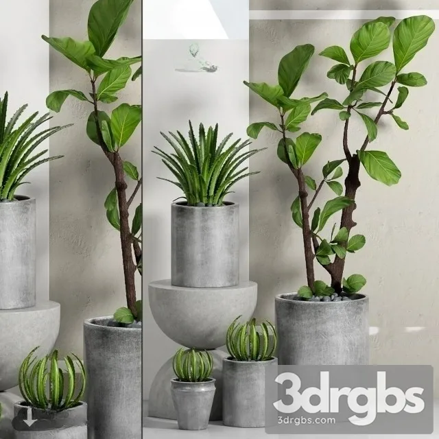 Cement Plant Pots 3D Model Free