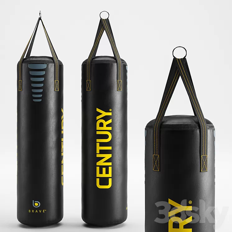 CENTURY Brave hanging Boxing bag 3D Model