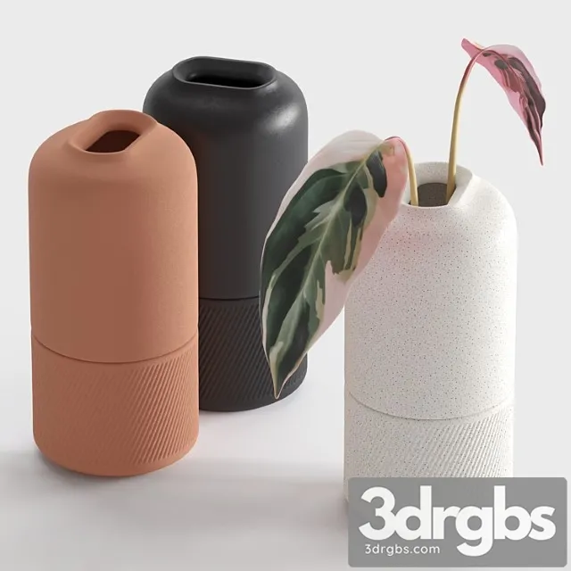 Ceramic Vases Zenn Vases by Axioma 3D Model Free