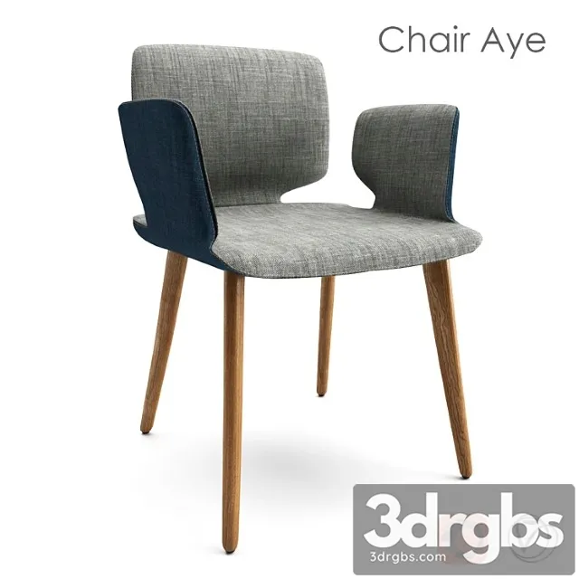 Chair Aye. Team 7 3D Model Free