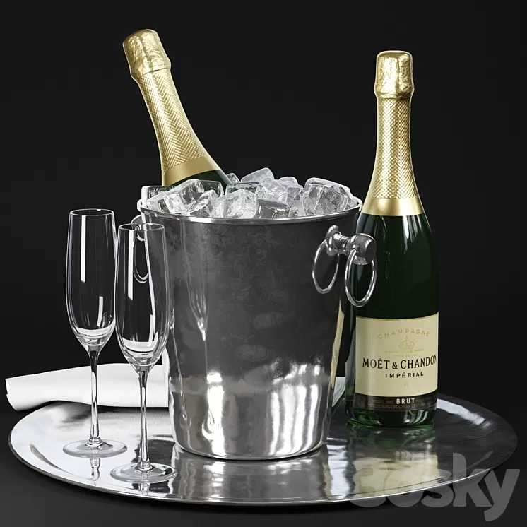 Champagne 3D Model