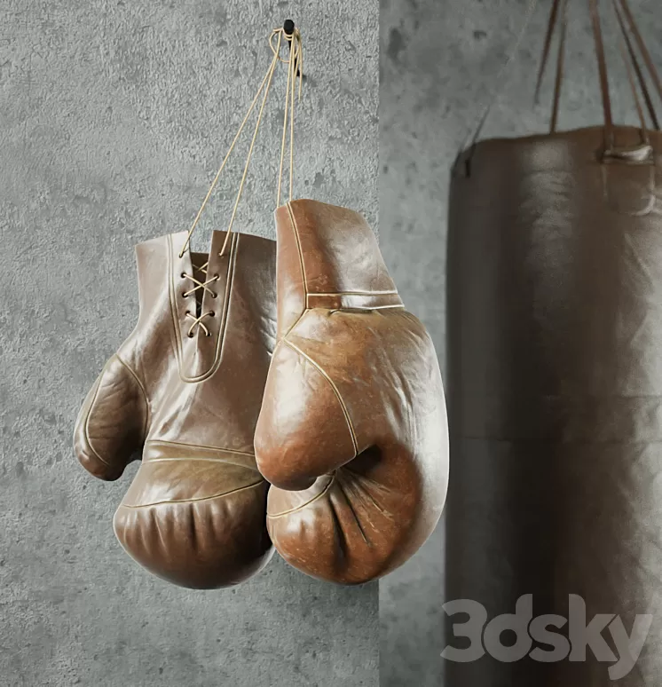 Champion (Boxing equipment) 3D Model