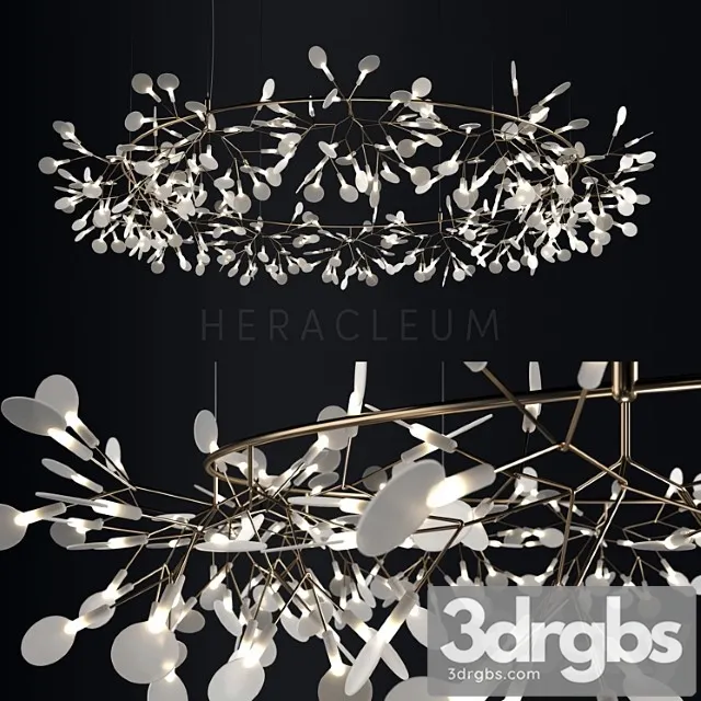 Chandelier Moooi Heracleum The Big O 3D Model Free