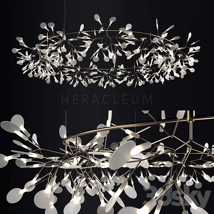 Chandelier Moooi Heracleum the Big O 3D Model