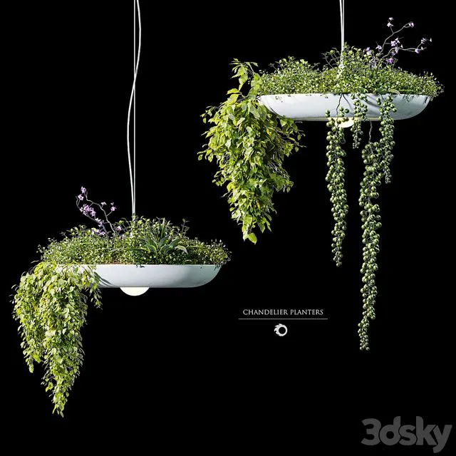 Chandelier plant pot 3D Model