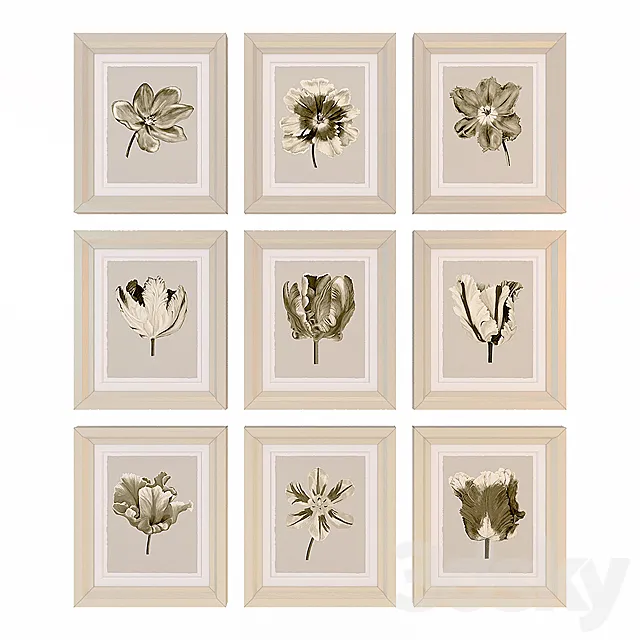 Charlotte Morgan Watercolour Tulips Sepia Nine Piece 3DModel