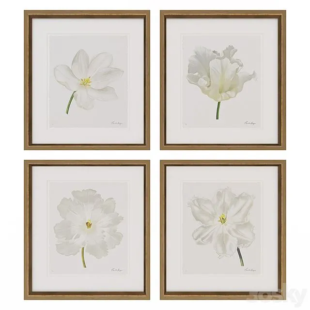 Charlotte Morgan White Watercolour Tulips 3D Model
