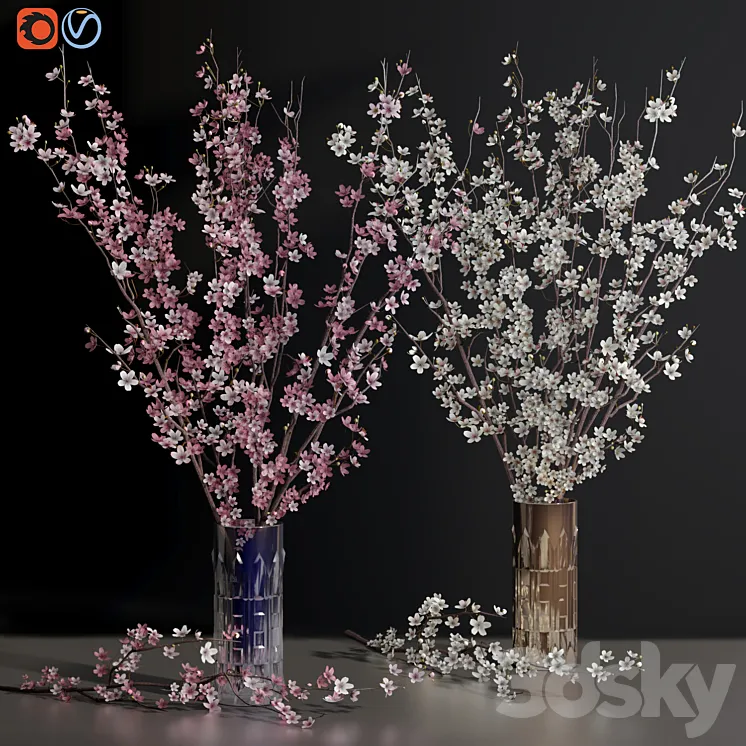 Cherry Blossom Sakura Flower Branch Vases 3D Model Free
