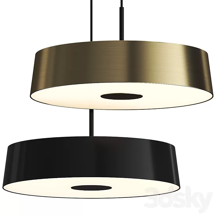 China Seed Design Pendant Lamp 3D Model