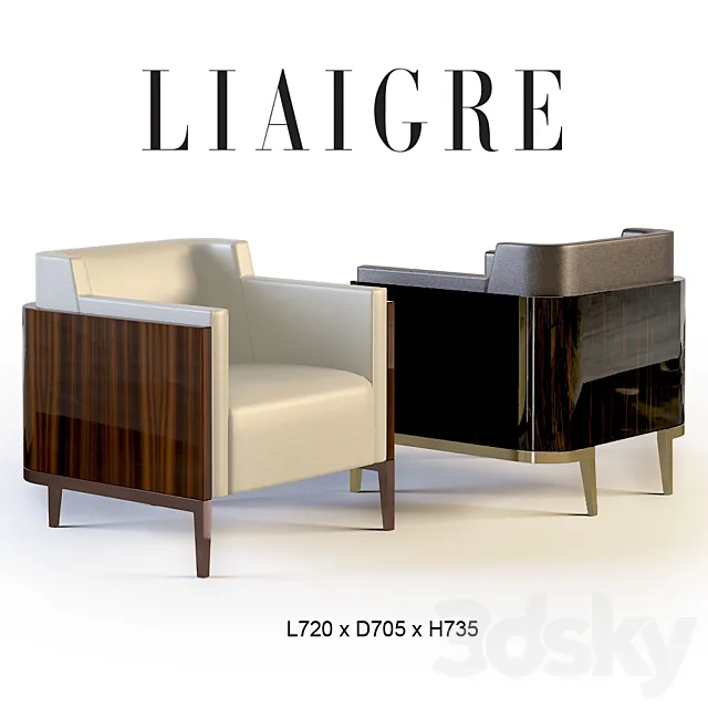 Christian Liaigre Shelter ArmChair 19907 3D Model