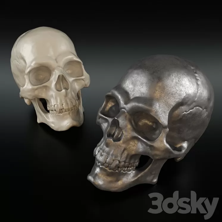 Christopher Guy Decorative Skull 3D Model