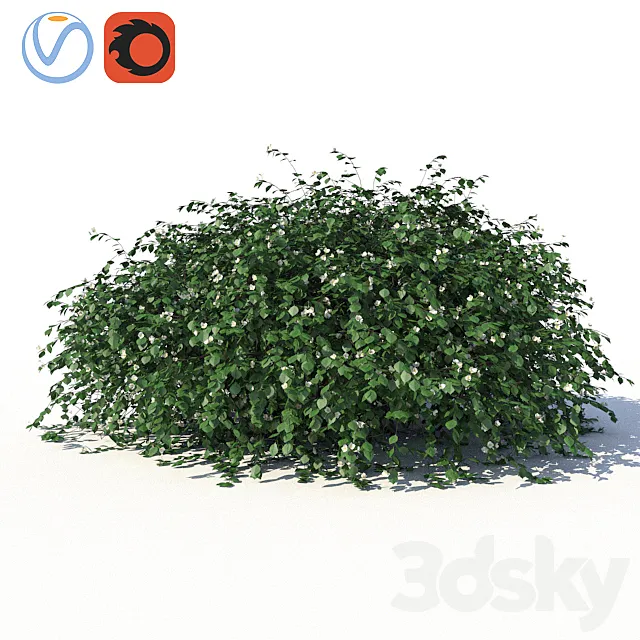 Chubushnik (jasmine) with lying on the ground branches and leaves 3D Model
