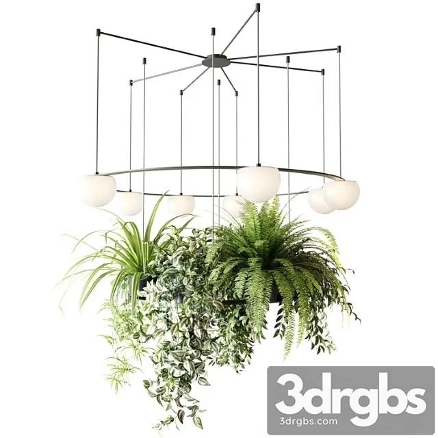 CIRC Suspension Lamps Pendants Chandelier With Ampelous Plants 3D Model Free