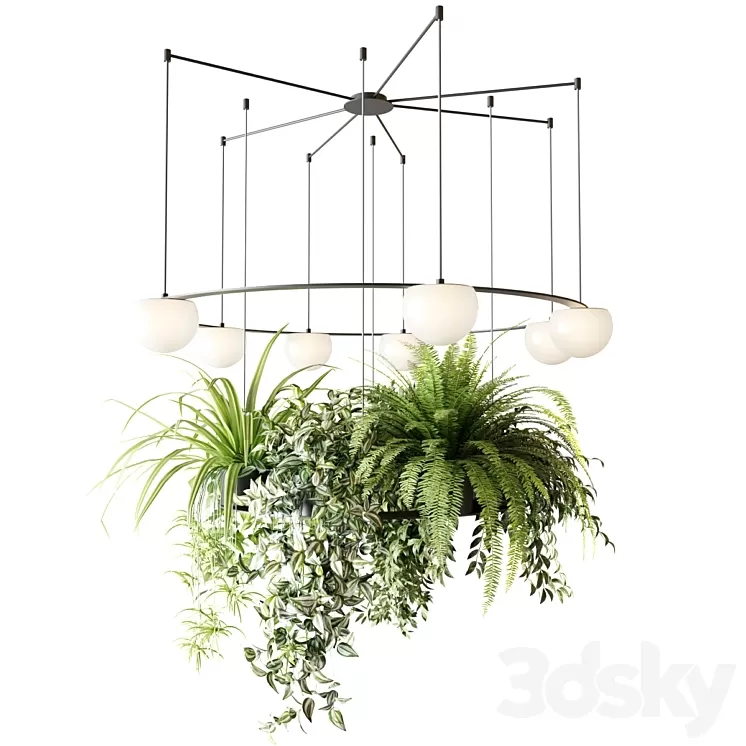 CIRC Suspension lamps Pendants chandelier with ampelous plants 3D Model Free
