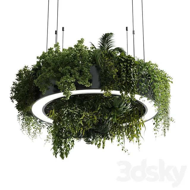 Circle pot light pendant - plant light hanging 13 corona 3D Model