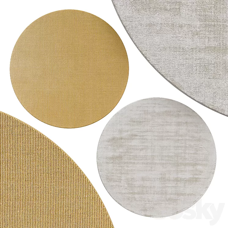 Circle rugs | No. 010 3D Model