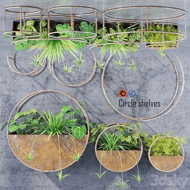 Circle shelves plants 3D Model