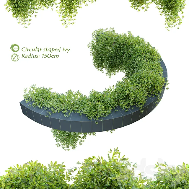 Circular shaped ivy 3DModel