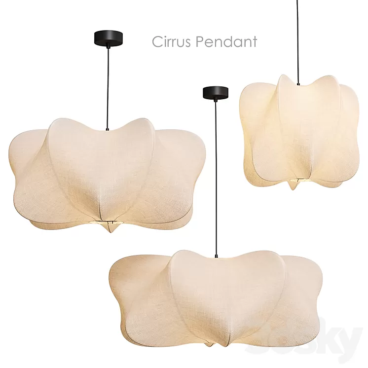 Cirrus Pendant Pendant lamp West Elm 3D Model