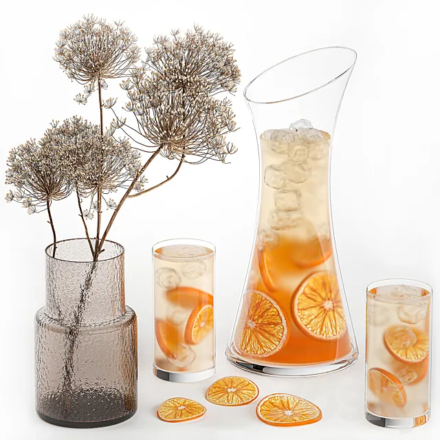 Citrus lemonade with ice in a decanter with a bouquet of dried borscht juice drink and cocktail 3D Model