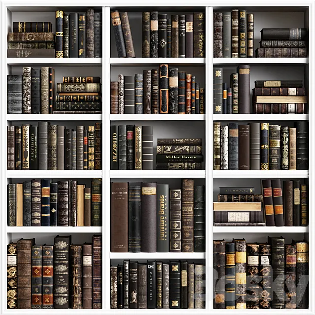 Classic Books 16 3D Model