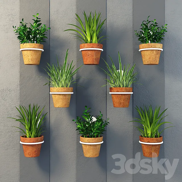 Clay pots with herbs on the wall 3DModel
